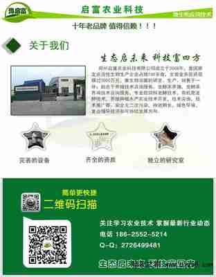 豆腐渣 理想的家禽家畜及魚類飼料原料